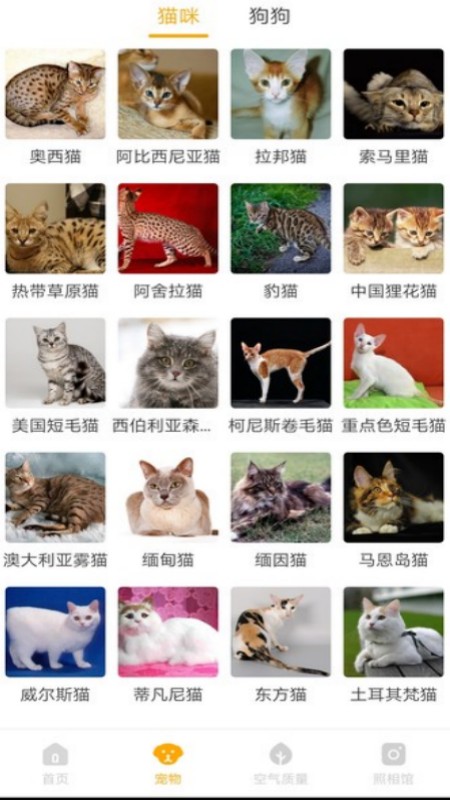 韶光相机2