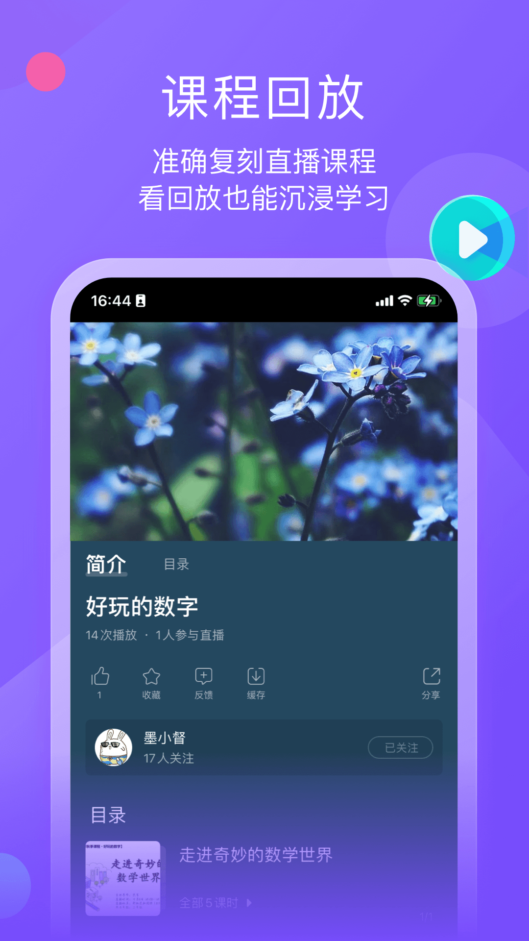 墨督督5