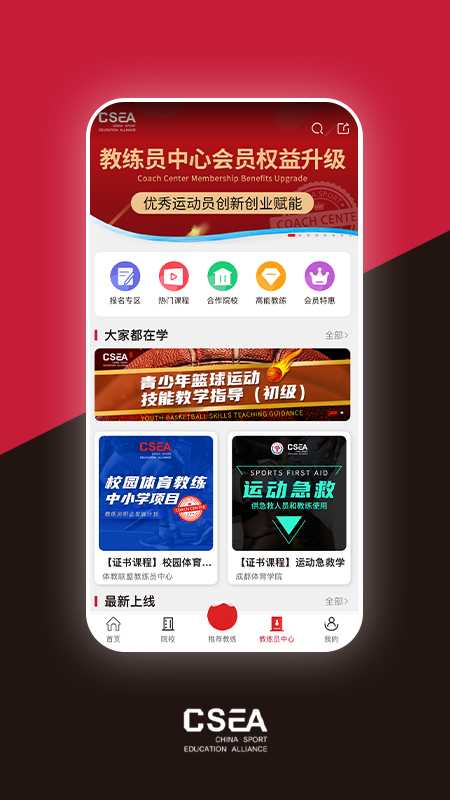 体教联盟2