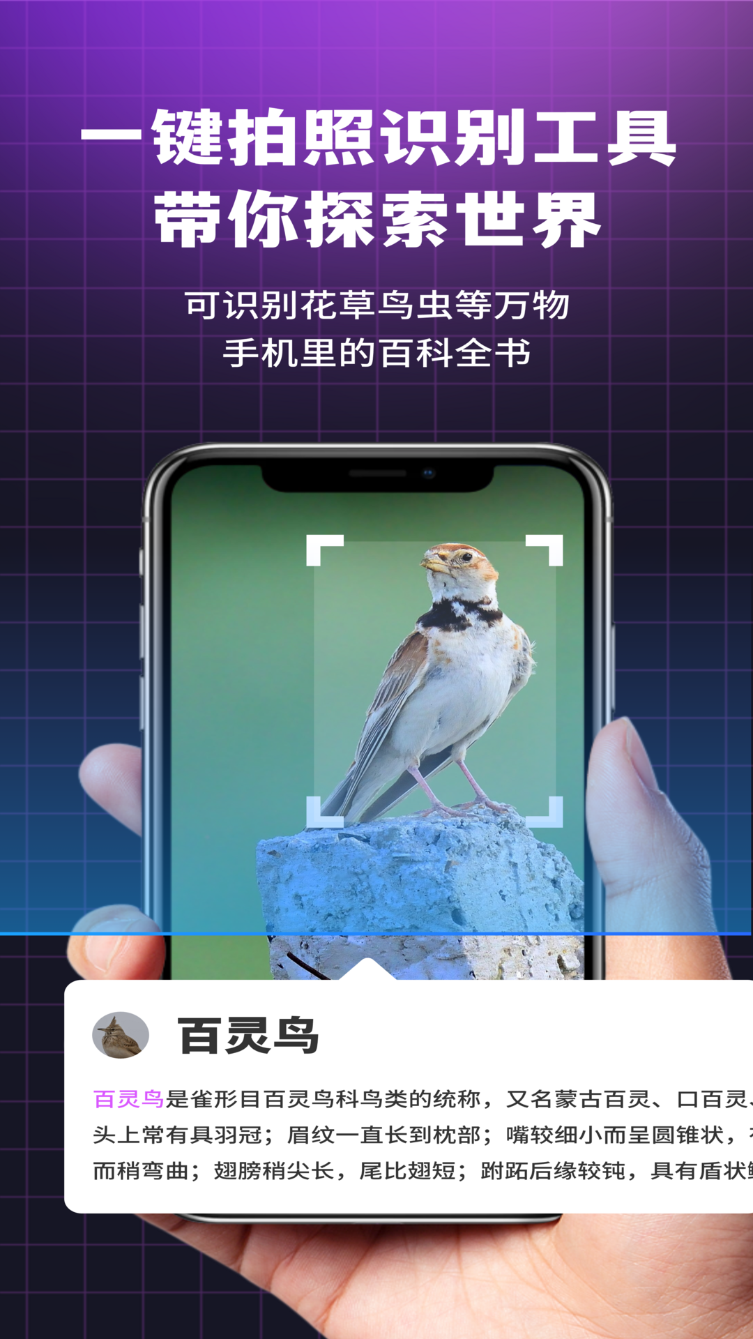 i浏览器无痕版4