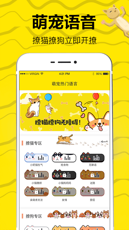 猫语交流翻译器5