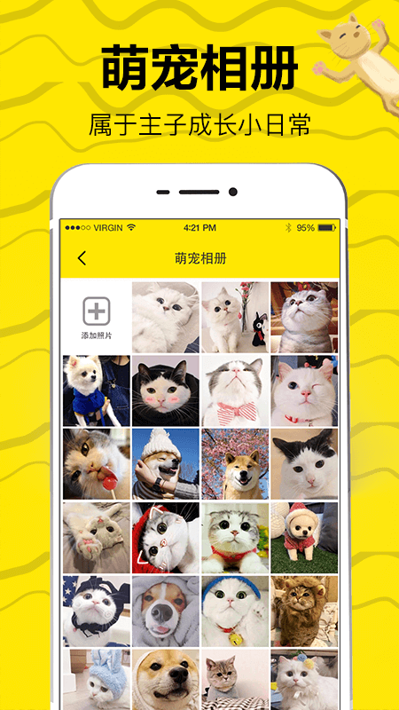 猫语交流翻译器2