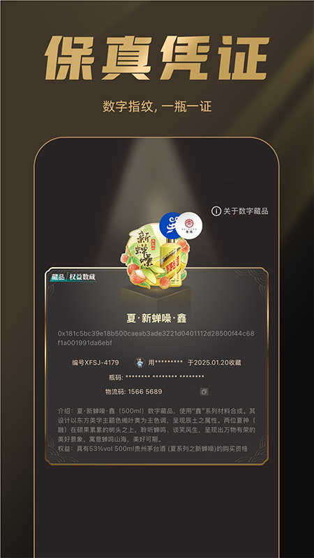 巽风数字世界5