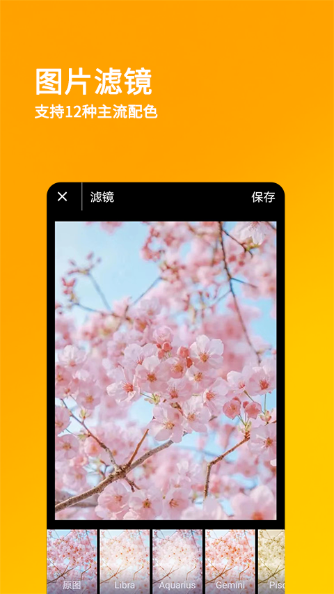 刷圈兔4