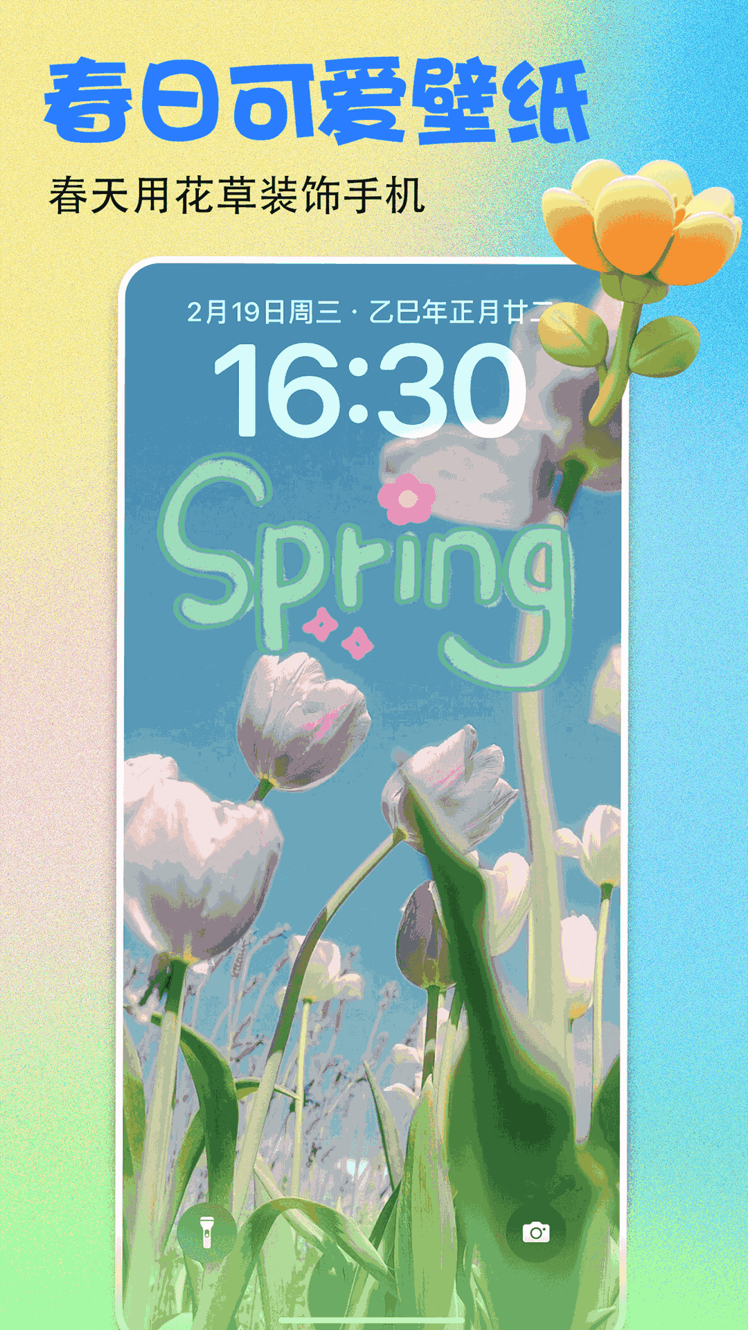 壁纸多多1