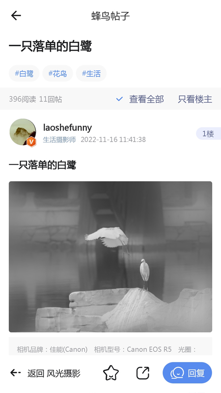 蜂鸟摄影3