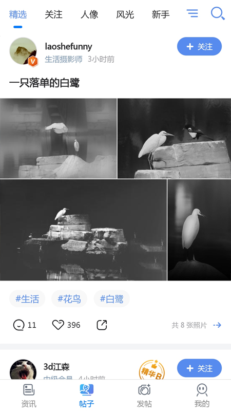 蜂鸟摄影5