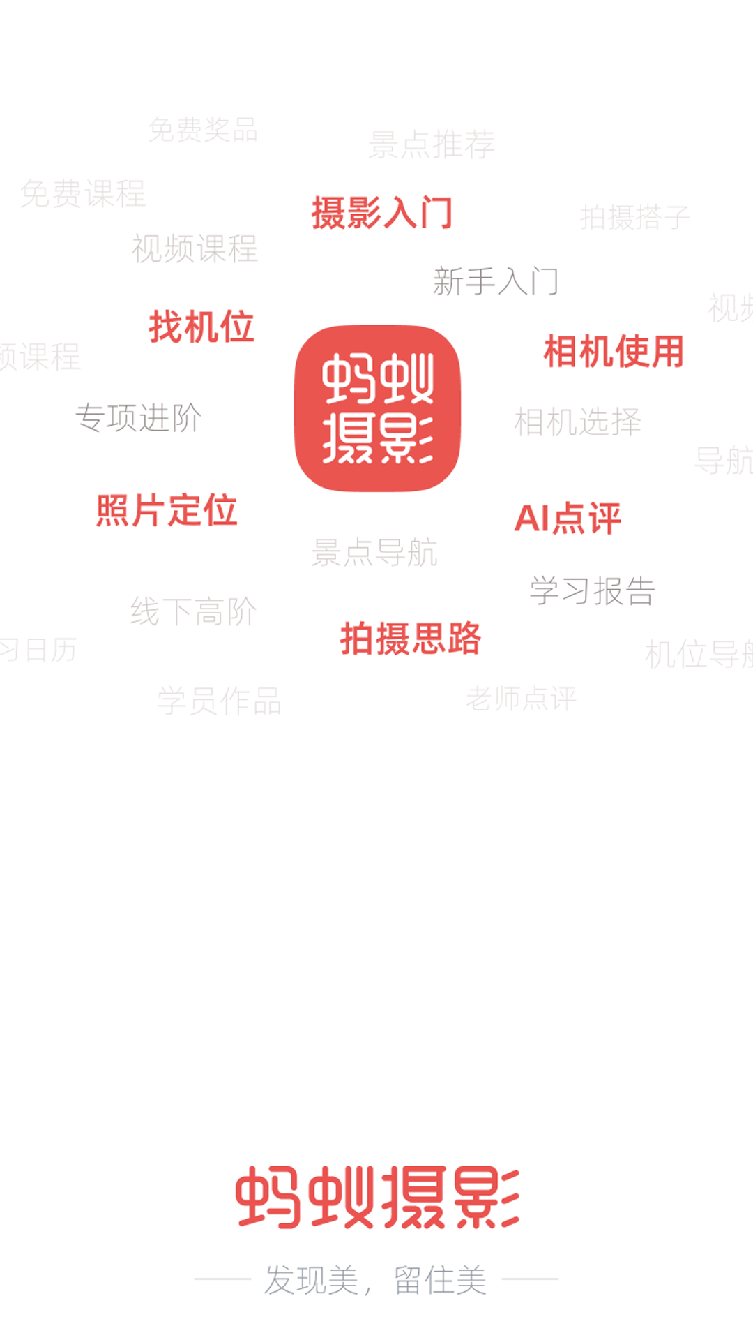蚂蚁摄影1