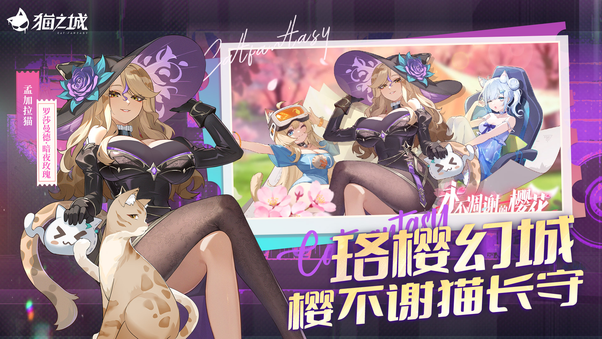 猫之城1