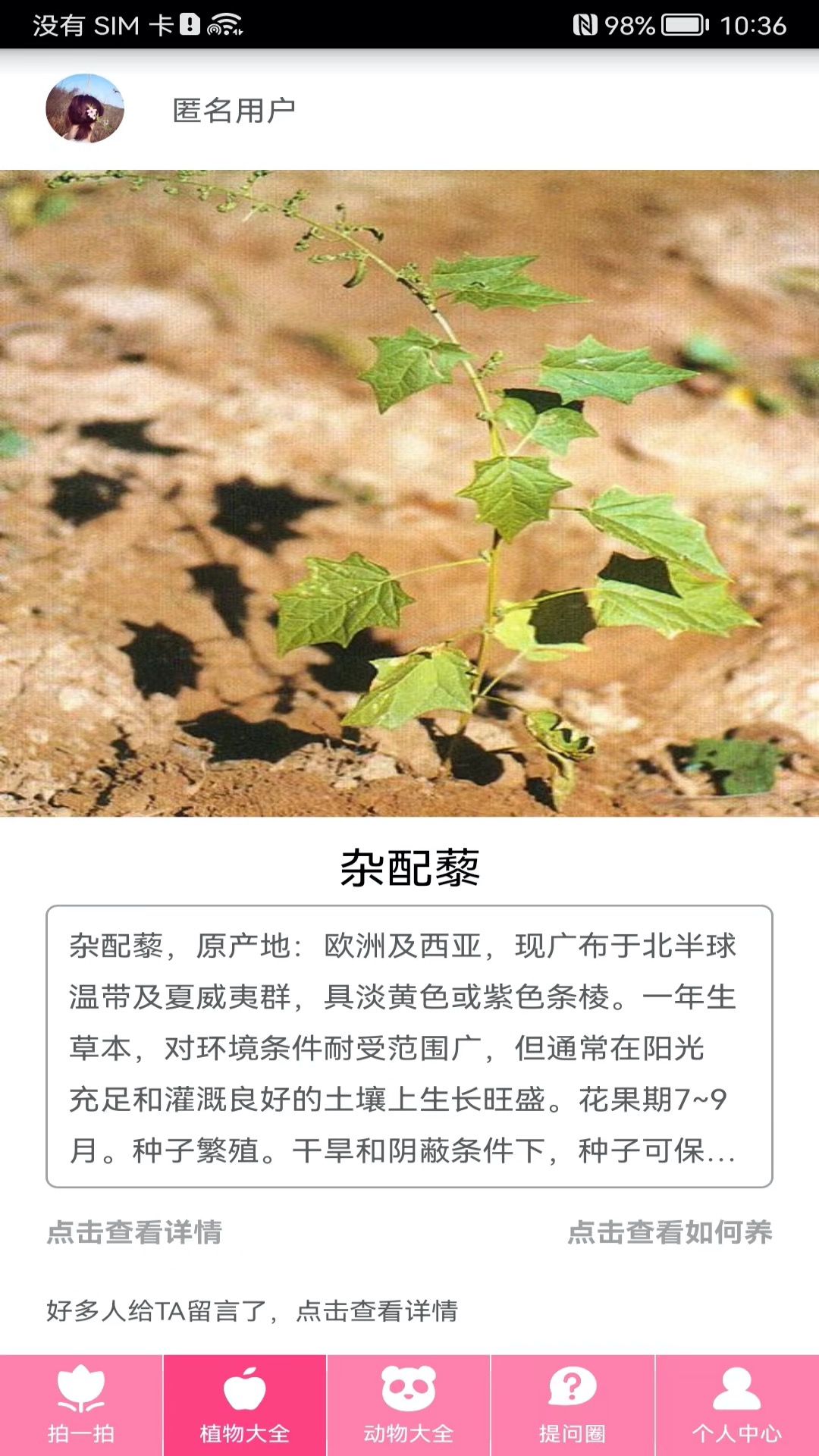 拍照识物4