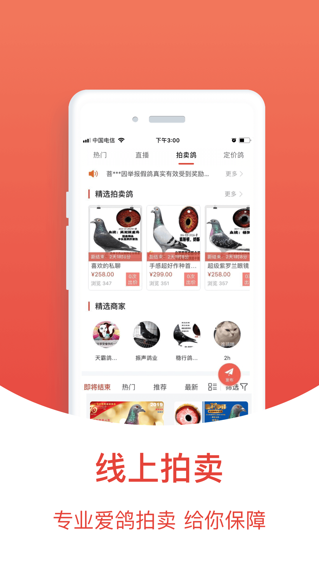 搜鸽天下-赛鸽头条重磅升级3
