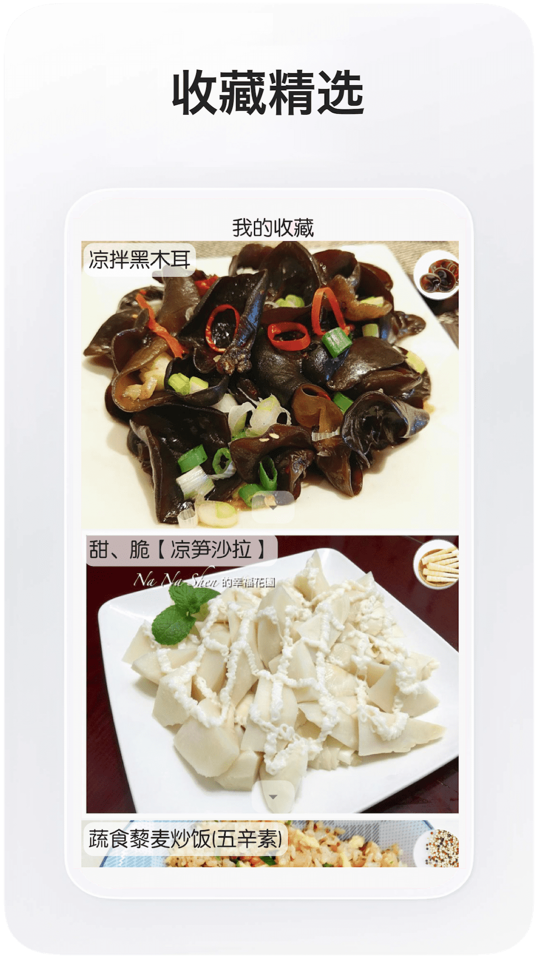 全球菜谱4