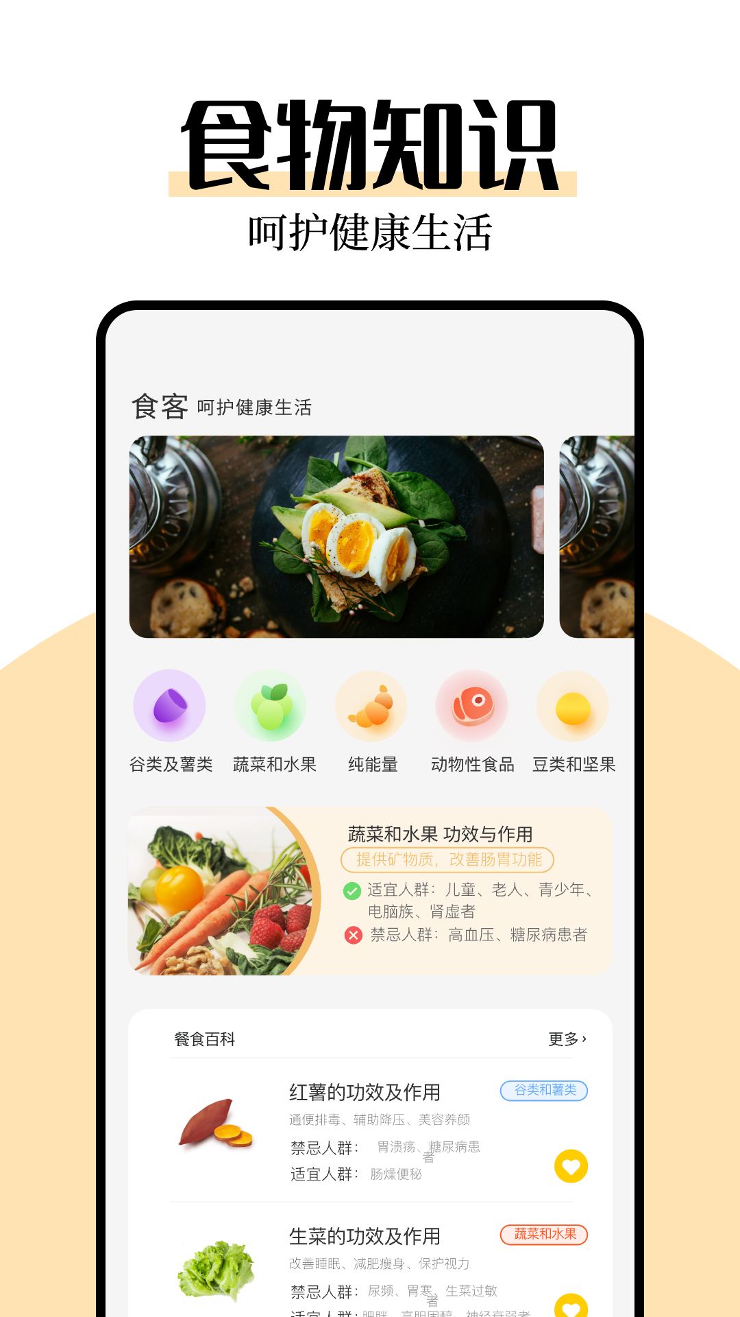 厨艺帮手4