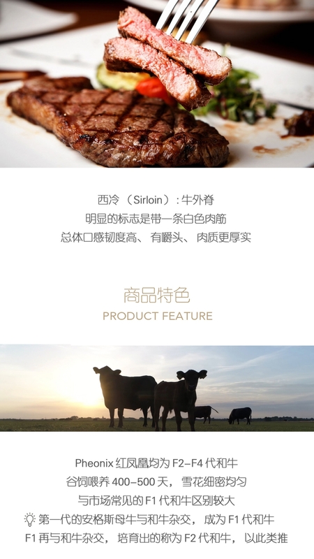 普冷库购4