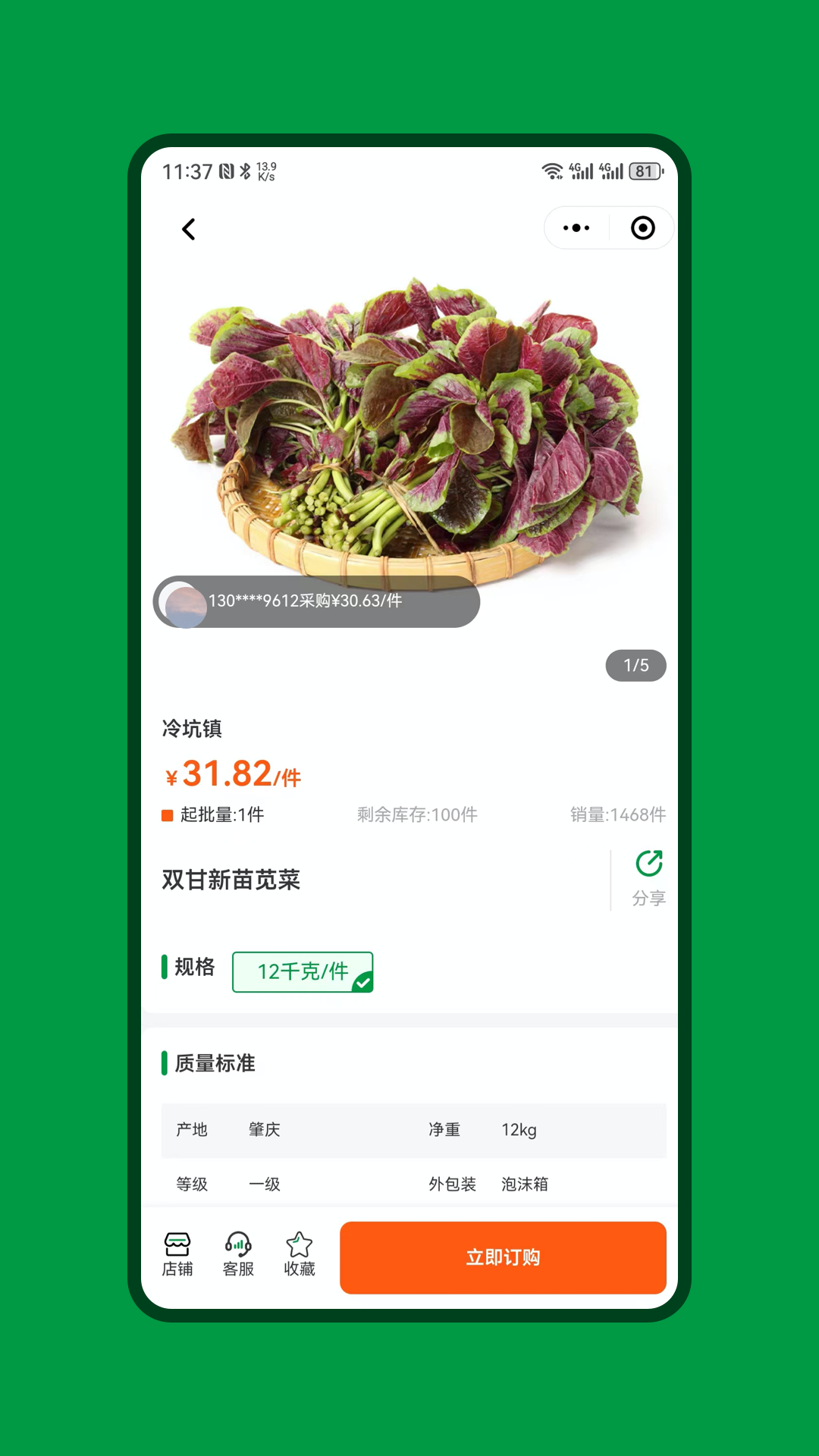绿色快线3