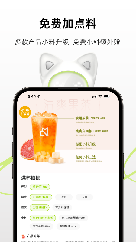 茶猫1