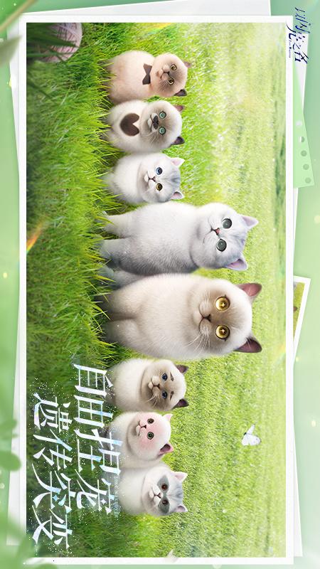 以闪亮之名4
