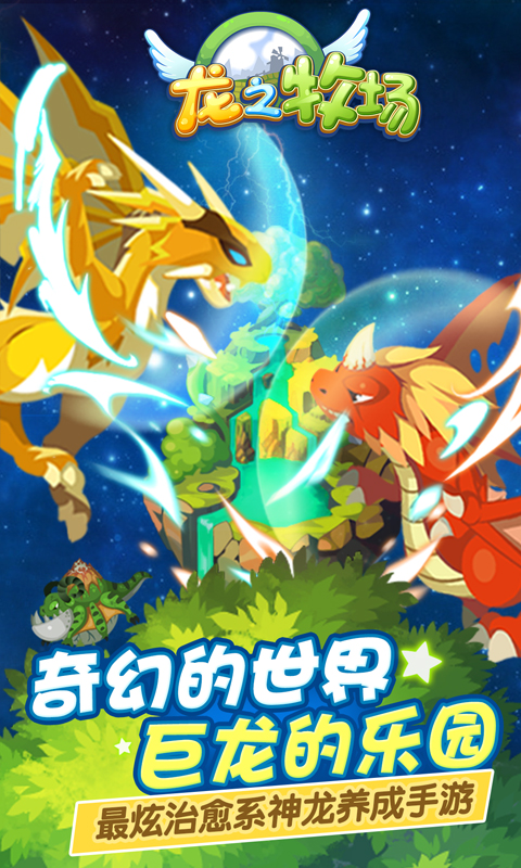 育龙高手5