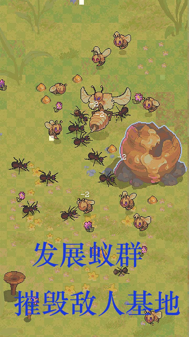 蚂蚁王国崛起1