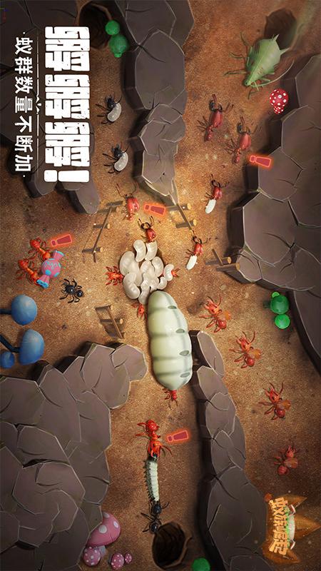 蚁族崛起5