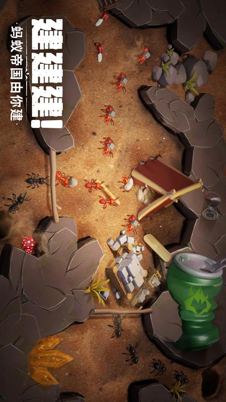 蚁族崛起3