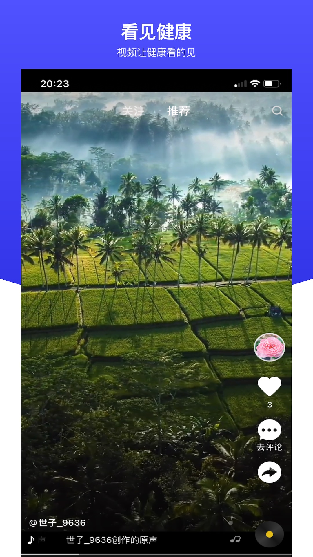 世子播播2