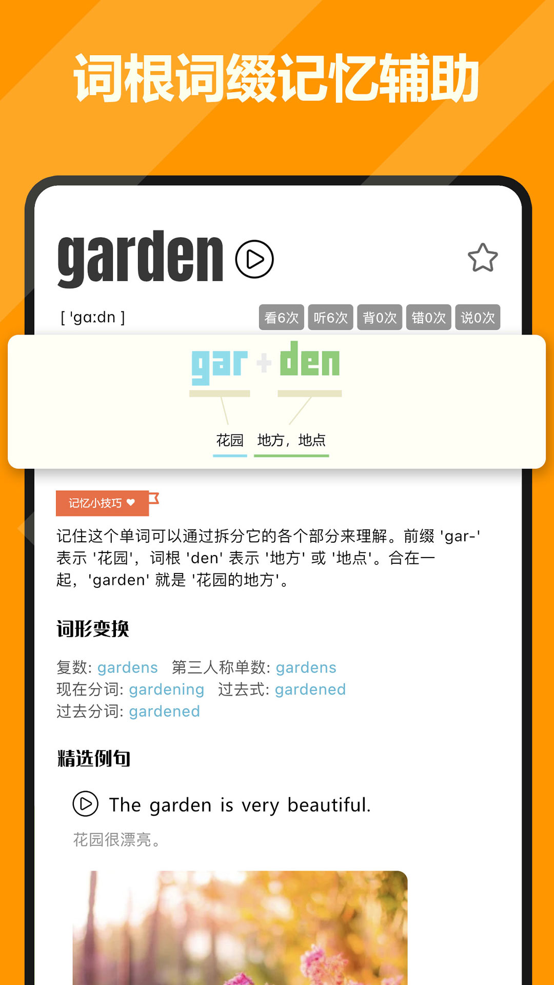 干词2