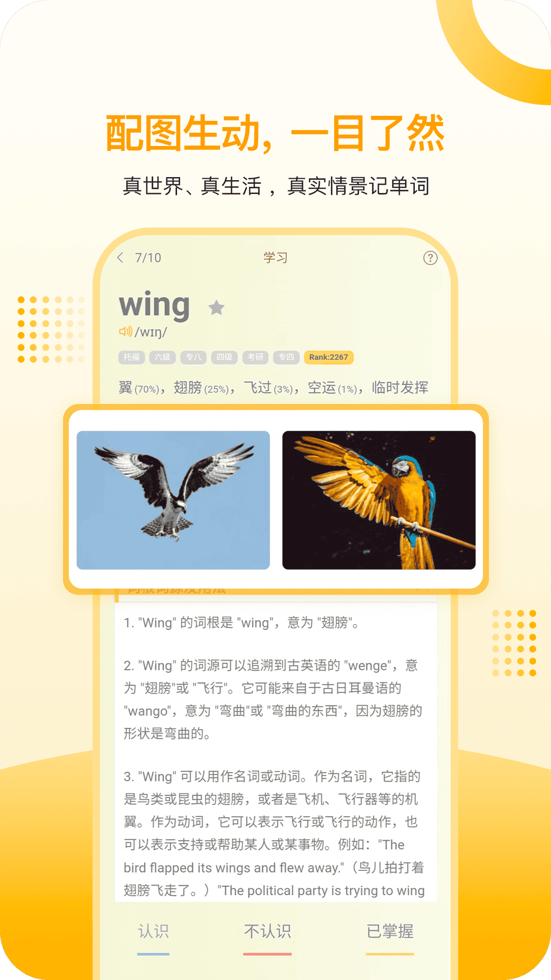 过目不忘单词2