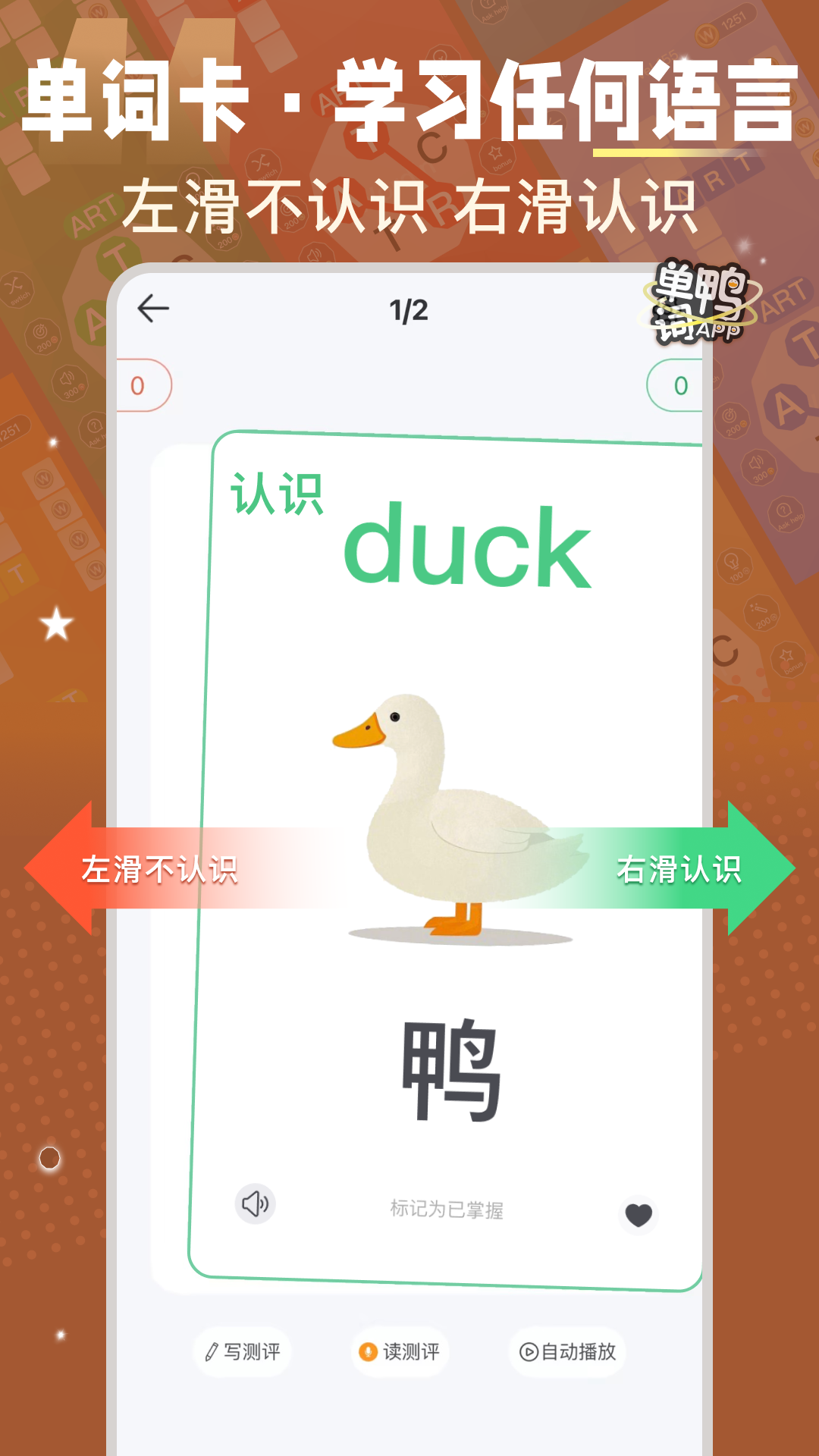单词鸭4