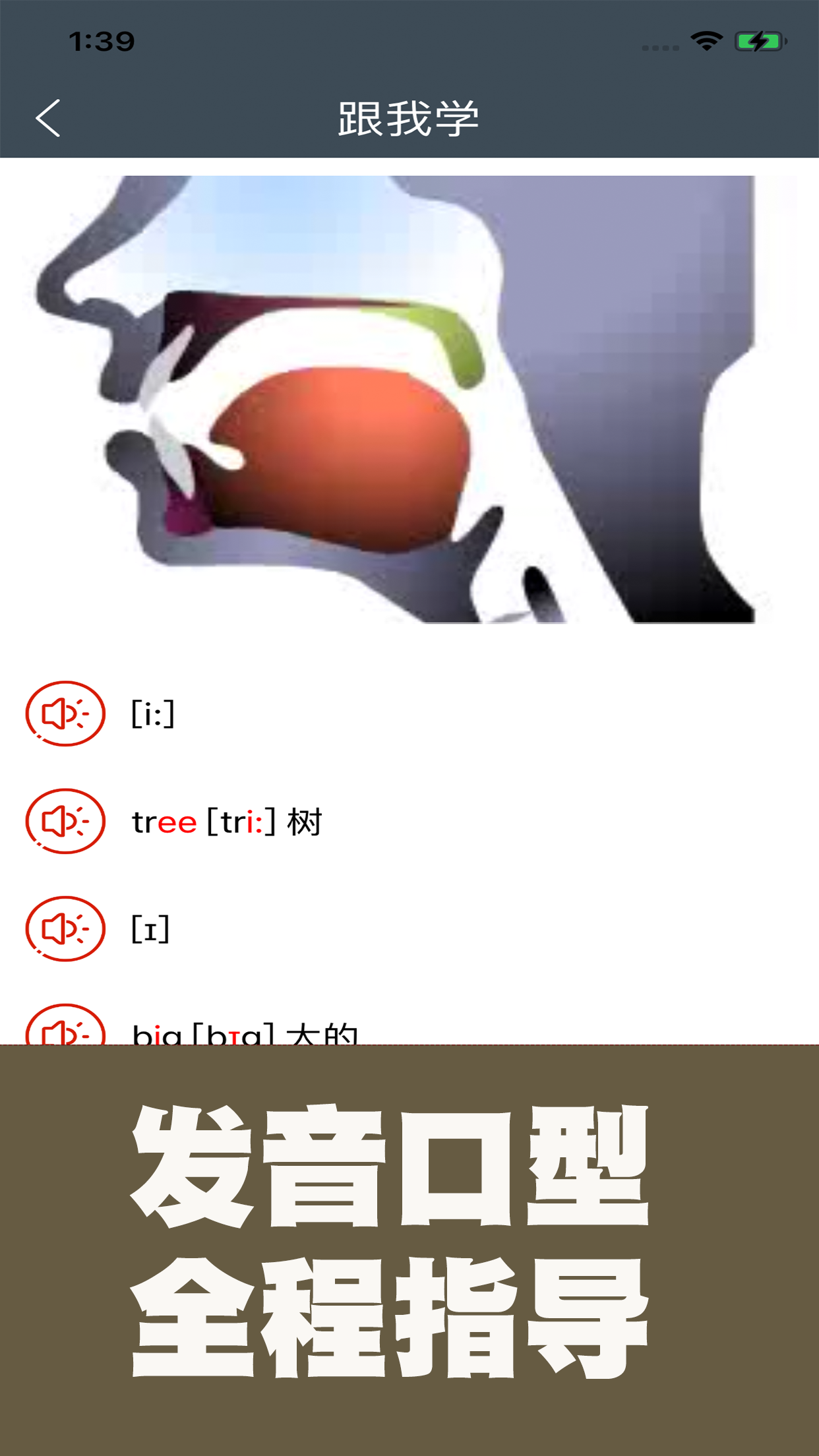 小学英语自然拼读课堂4