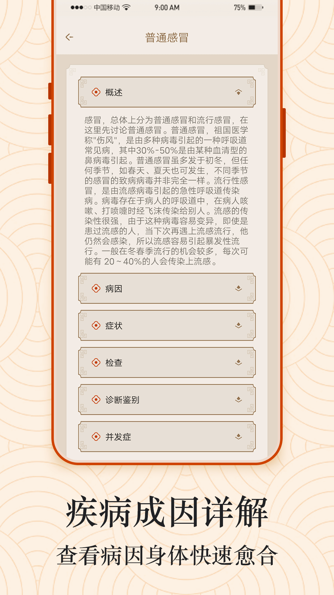 经络图解2