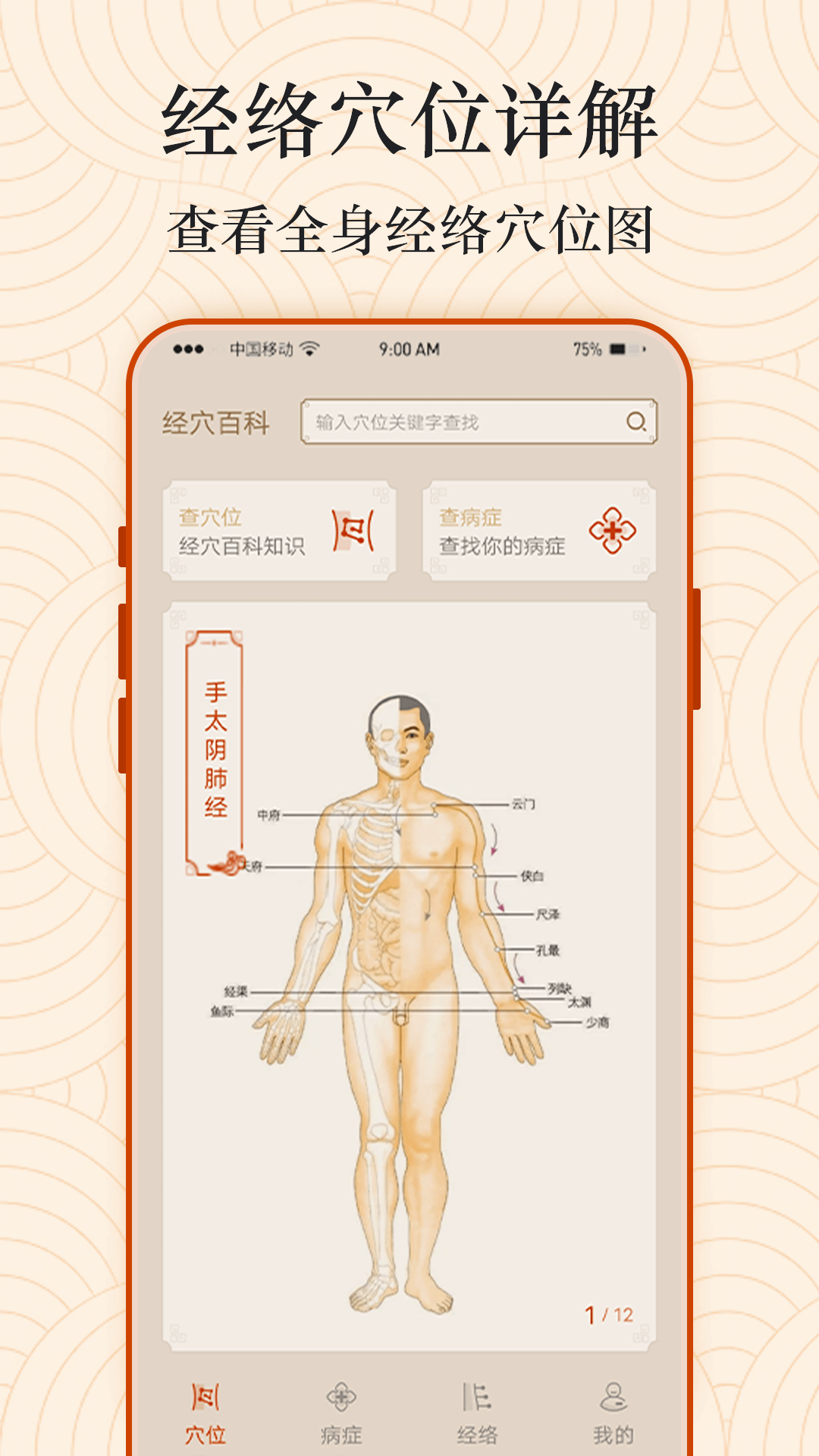 经络图解3