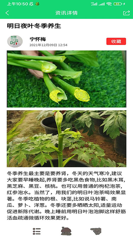 家庭桃源2