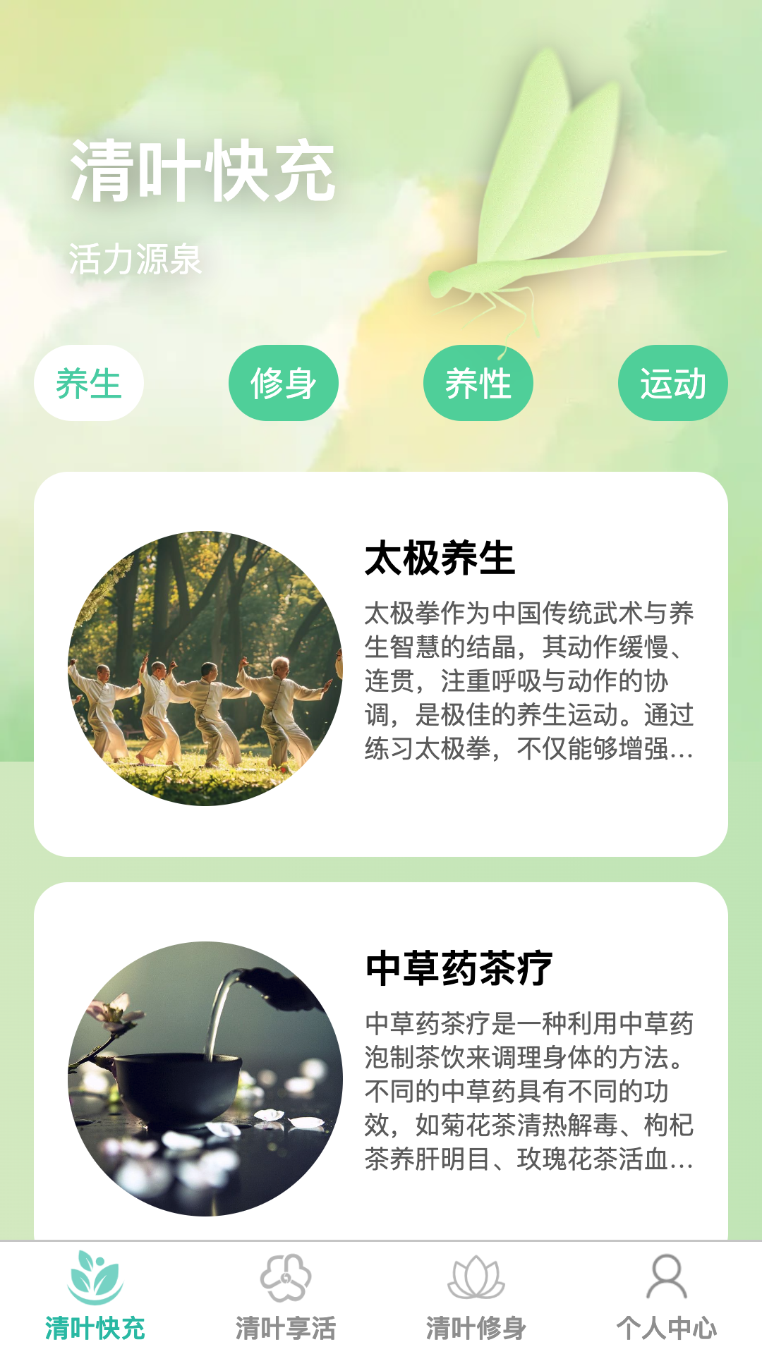 清叶快充4
