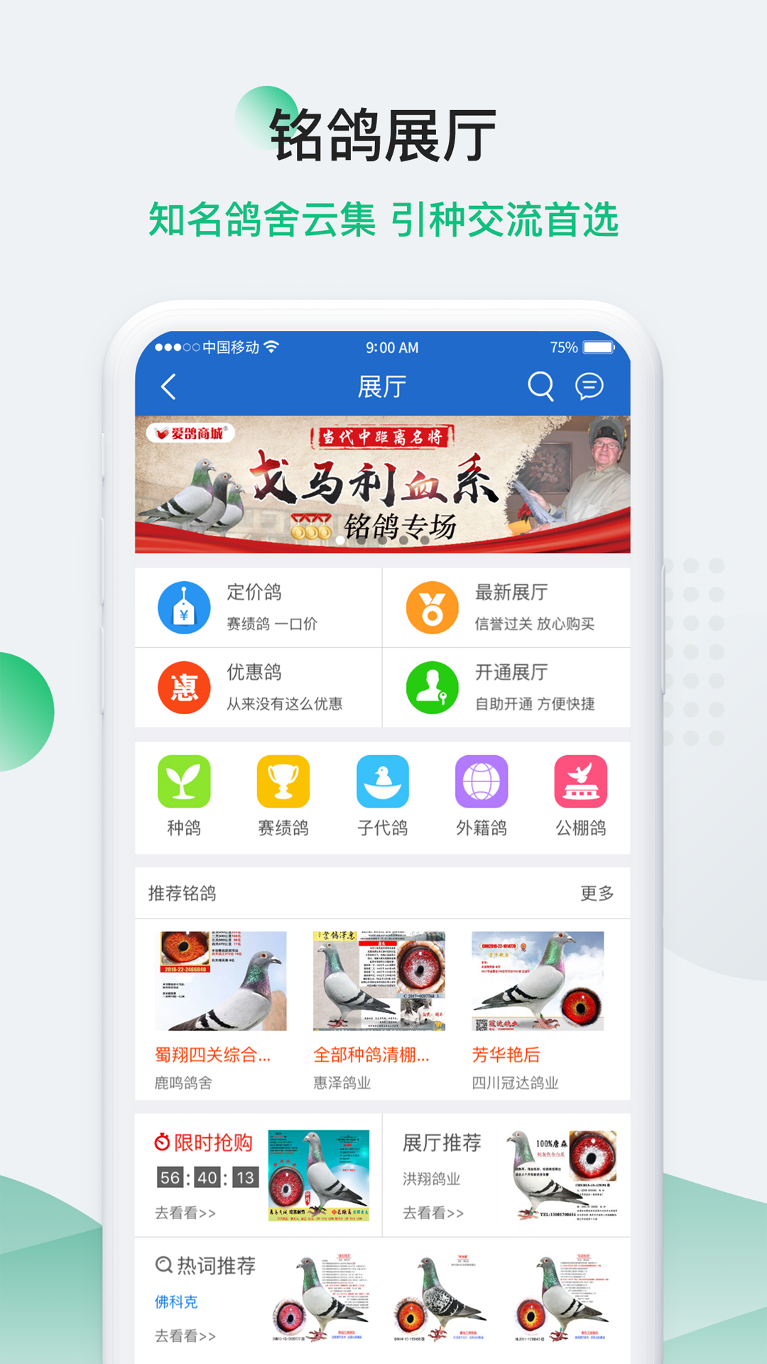 中国信鸽信息网2