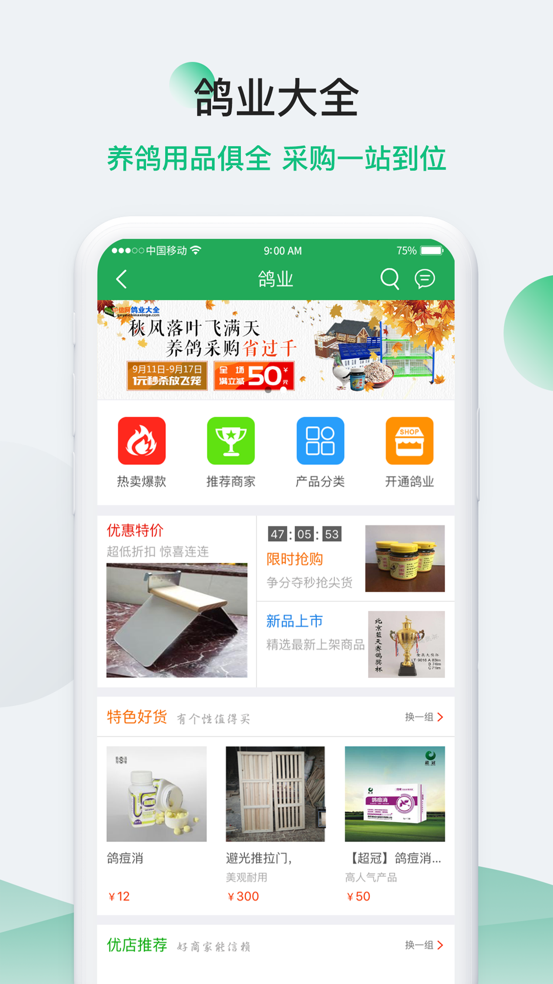中国信鸽信息网3