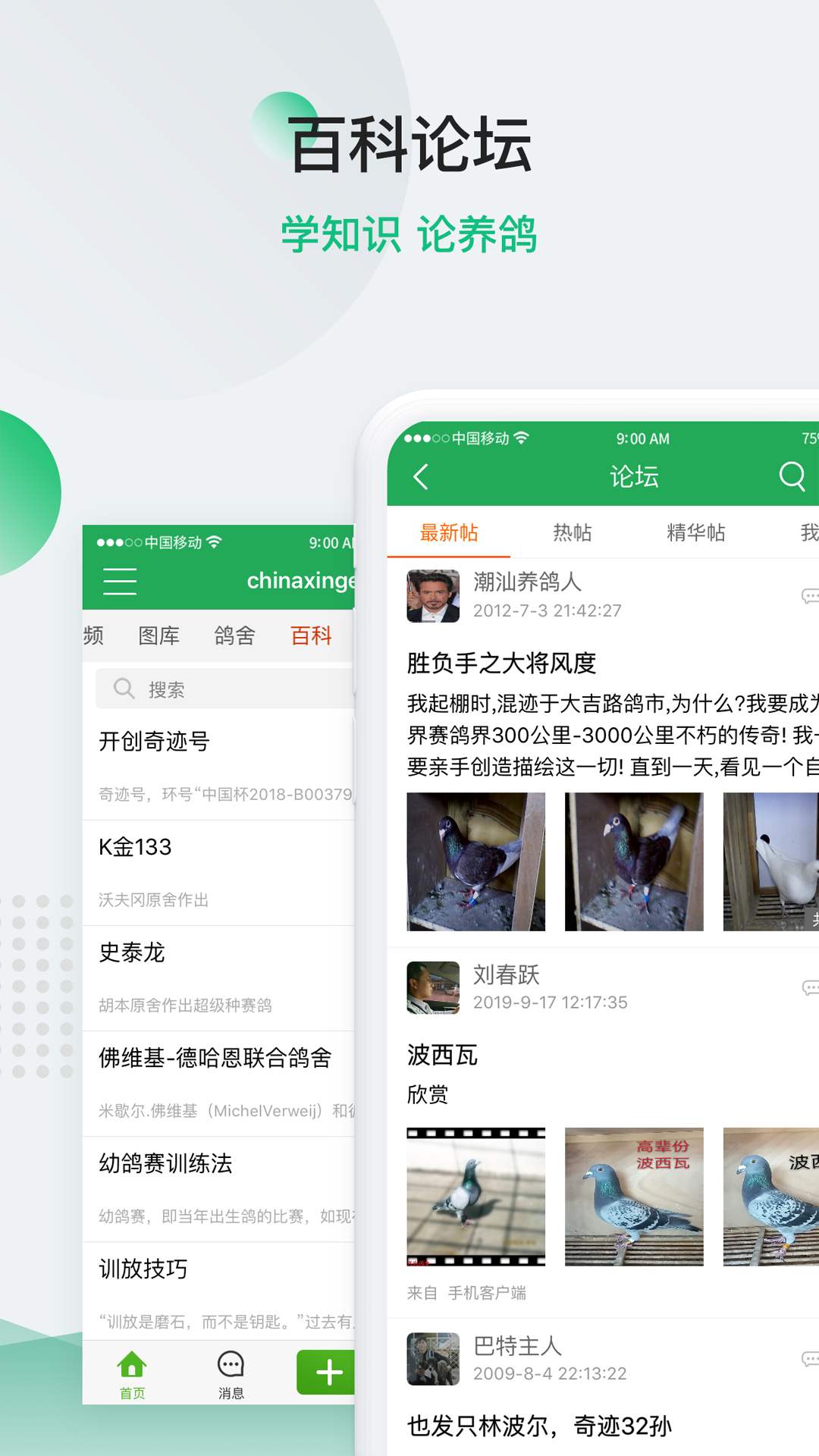 中国信鸽信息网4