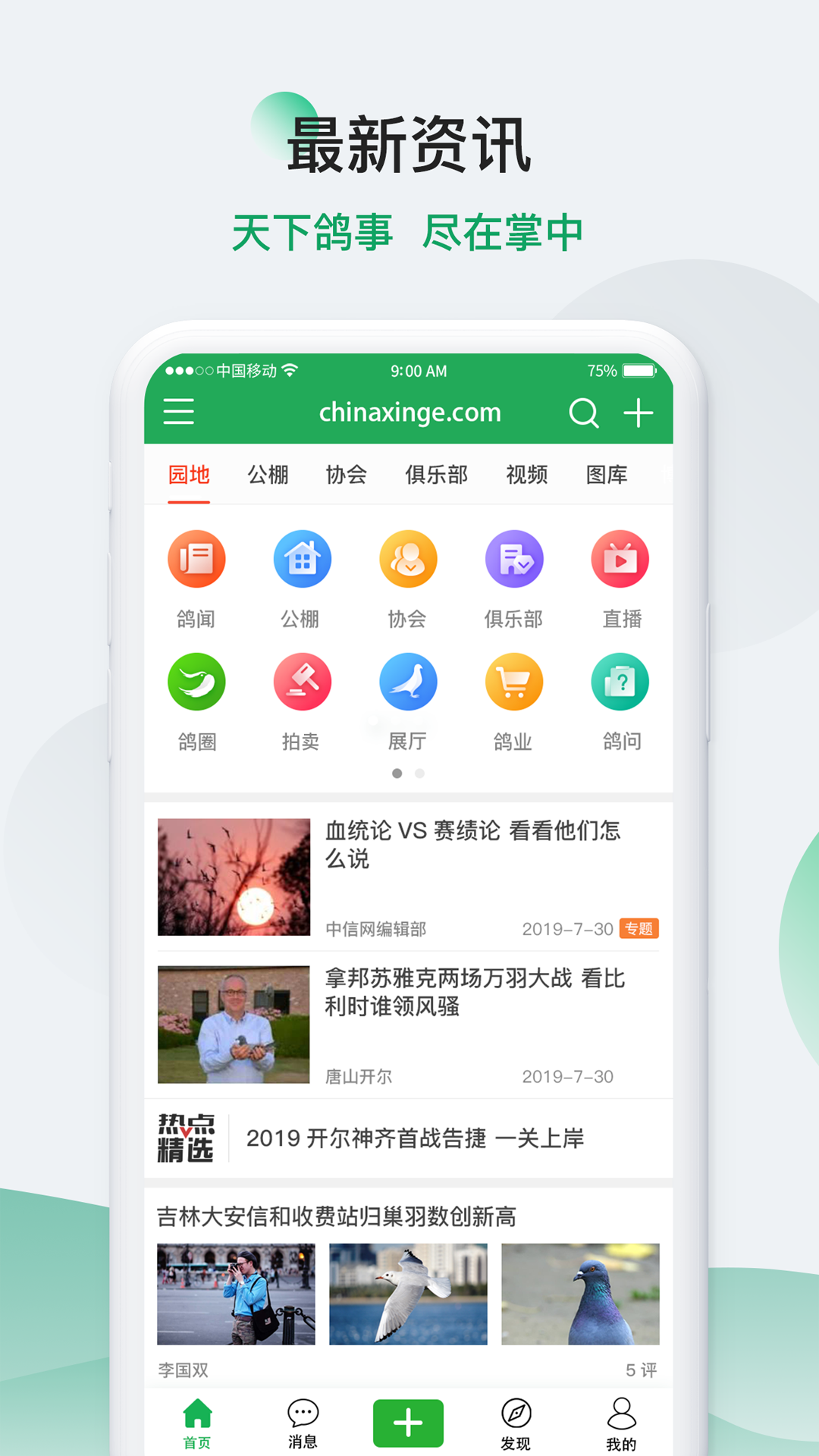 中国信鸽信息网5
