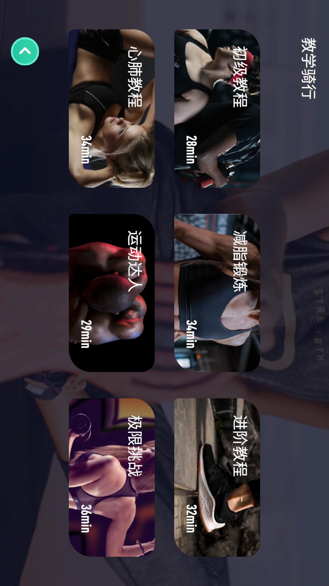 动骑5