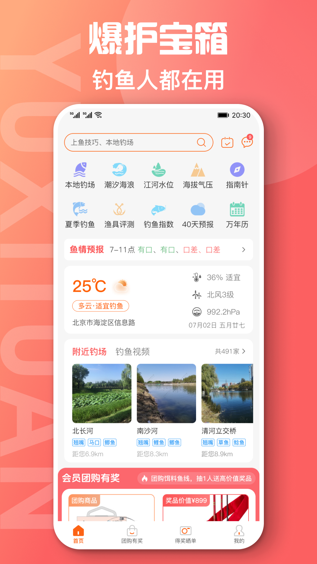 鱼喜团5