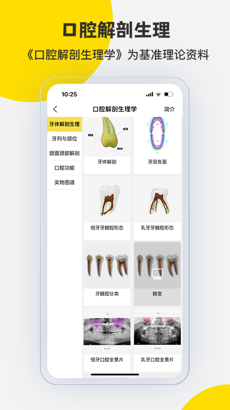 3Dbody解剖4