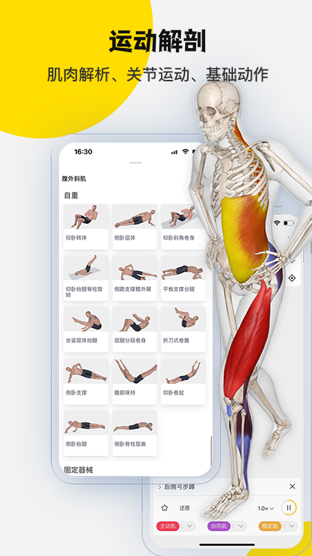 3Dbody解剖5
