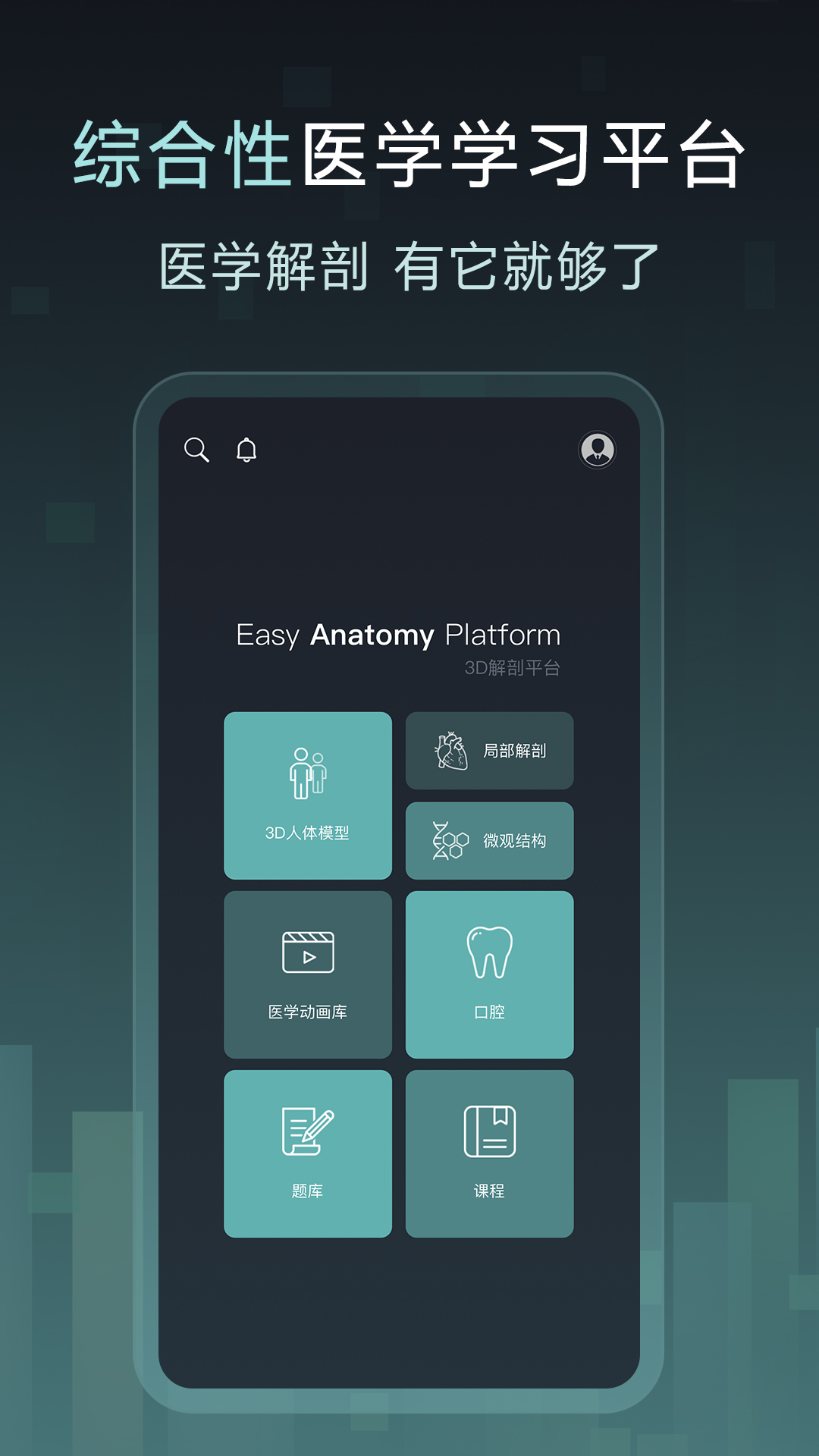 Easy解剖5