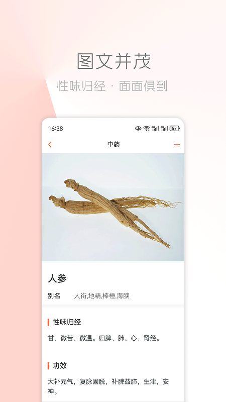 中医之家1