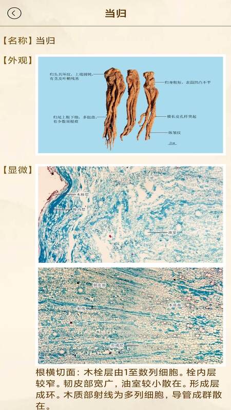 中医方歌2