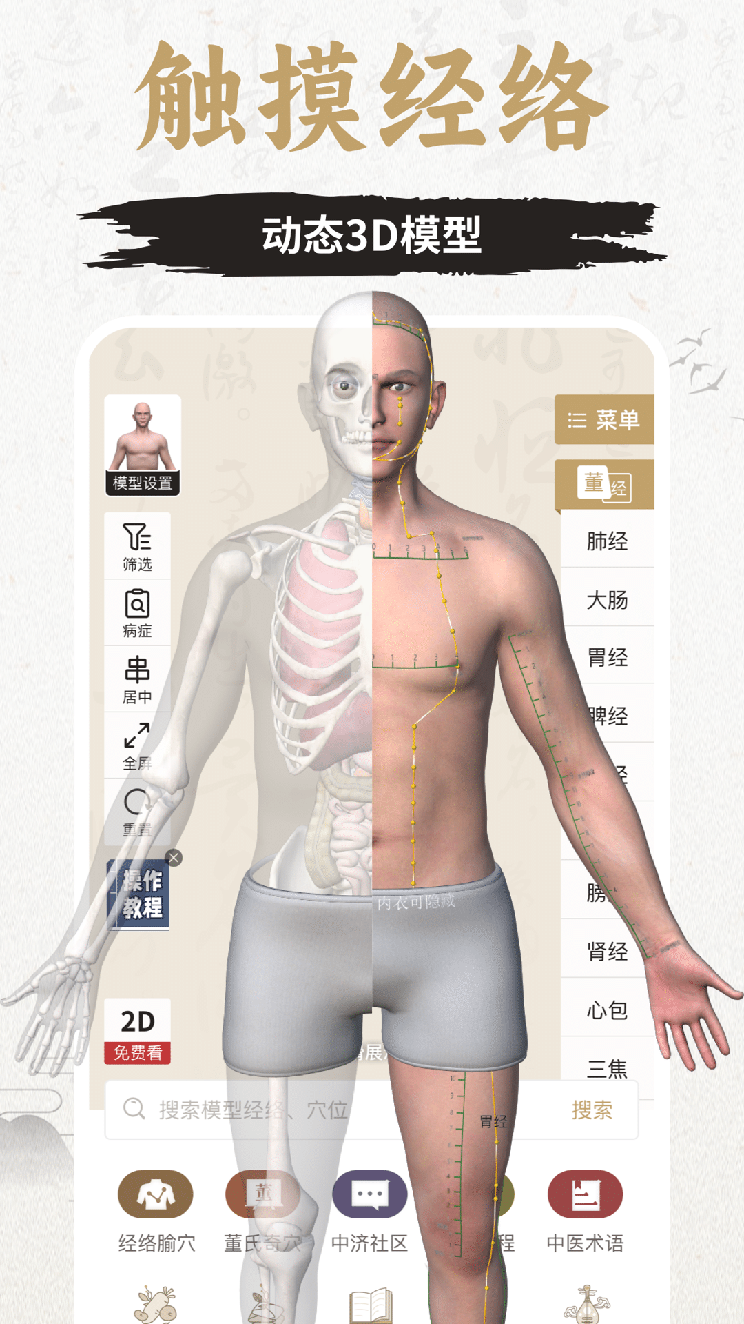 知源经络穴位5