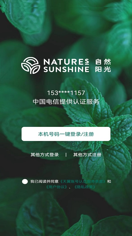 自然阳光3