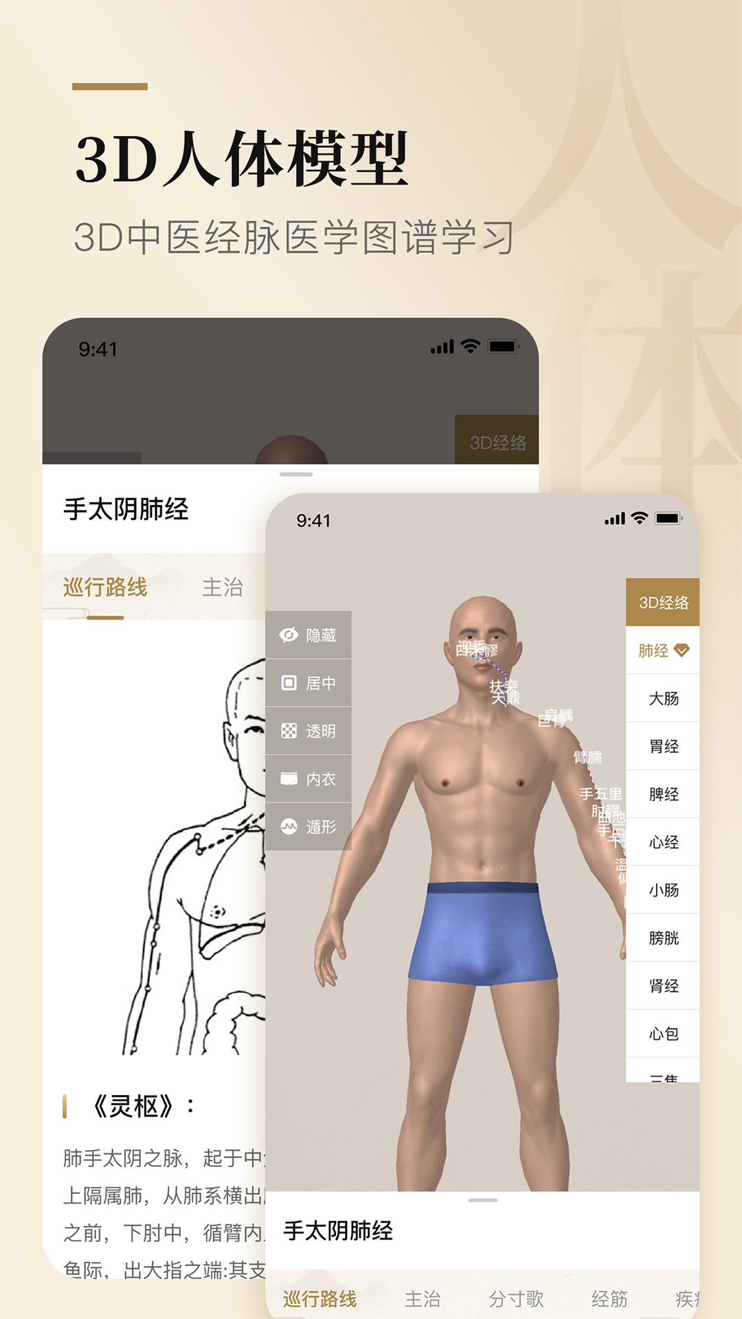 经络穴位标准指南1