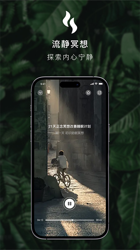 流静5