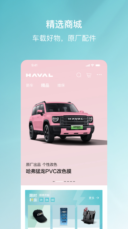 哈弗智家4